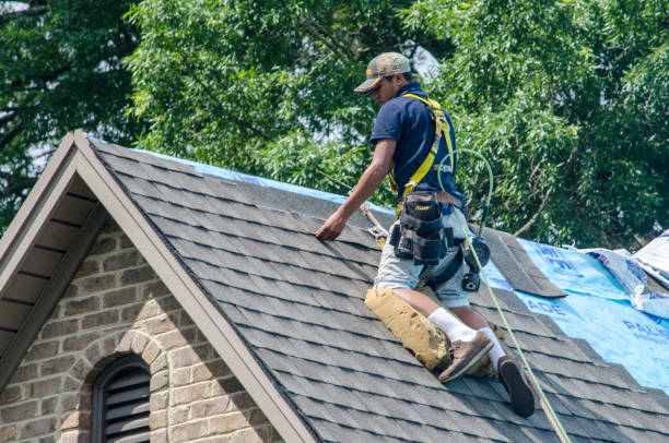 Best Roof Waterproofing Services  in Columbiana, AL